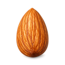 Almond