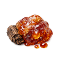 Balsamic Notes