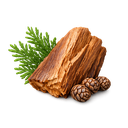 Cedar