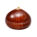 Chestnut