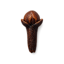 Cloves