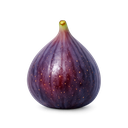 Fig