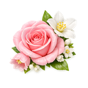 Florals