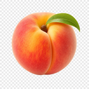 Fruits