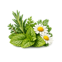 Herbal Notes