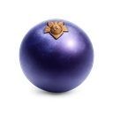 Juniper Berry