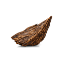 Oudh