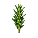 Rosemary