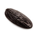 Tonka Bean